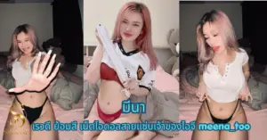 มีนา เรวดี vk